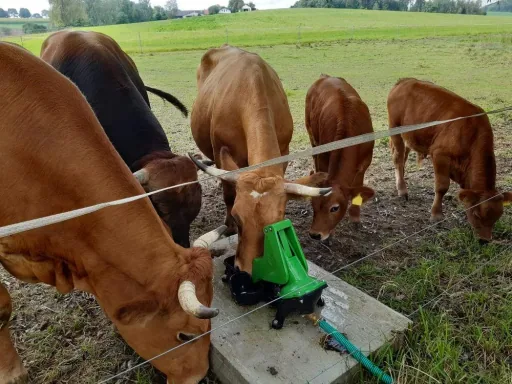 Pasture pump P100 with double stroke and 1" connection