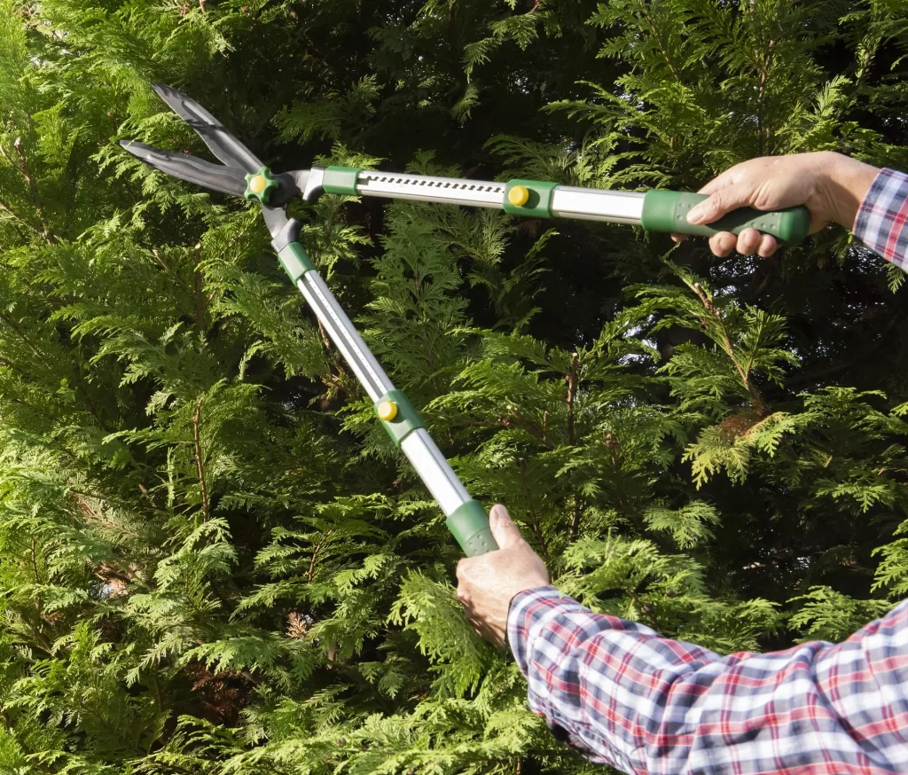 Telescopic hedge trimmer, 63-81 cm