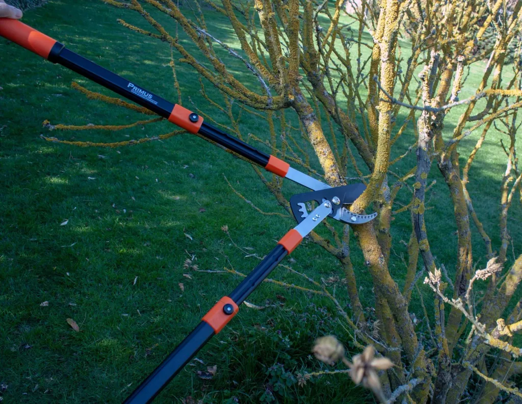 Geared pruning shears and rose miracle shears