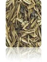TerraVital Comfortable & Well-being Lawn Seed Mix - 3 kg
