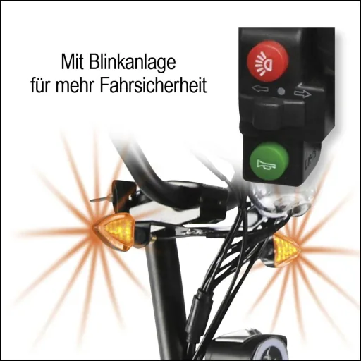 E-scooter "Revoluzzer" Safety Plus 20 km/h including indicators, luggage case and lithium battery, black