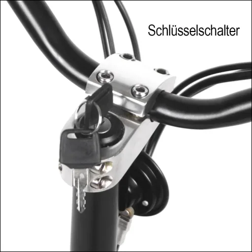 E-scooter "Revoluzzer" Safety Plus 20 km/h including indicators, luggage case and lithium battery, black