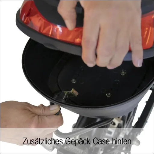 E-scooter "Revoluzzer" Safety Plus 20 km/h including indicators, luggage case and lithium battery, black