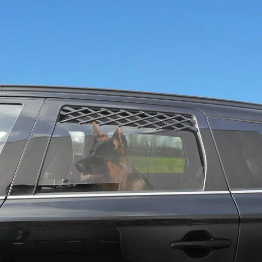 Car ventilation grille for animals