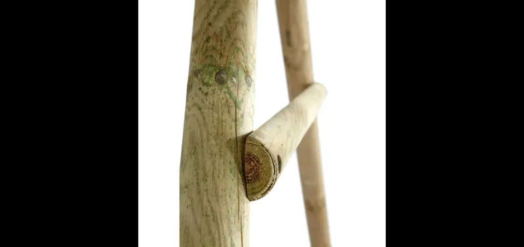 Bush-Baby wooden swing, outdoor single swing for children made of wood, swing ropes height adjustable, natural
