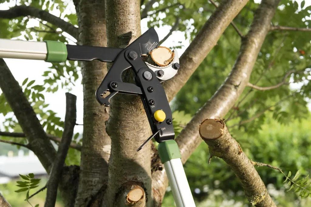 2 in 1 anvil geared pruning shears