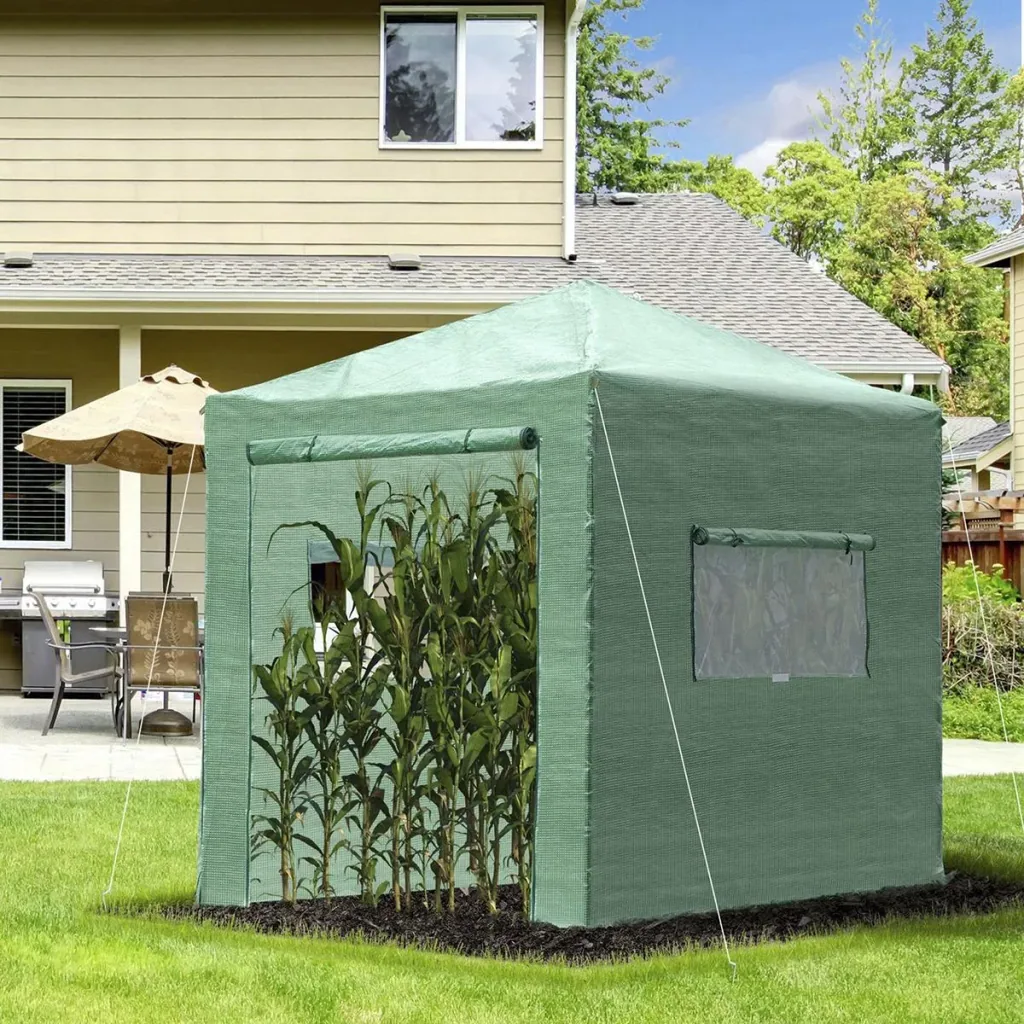 Greenhouse, tomato house, cold frame with door and window for rolling up, PE steel, dark green, 240 x 180 x 240 cm