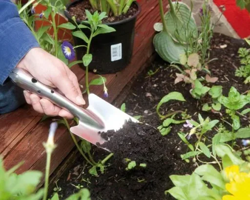 Stainless steel planting trowel