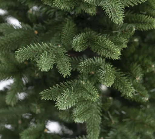 Christmas tree Roswell pine 210 cm