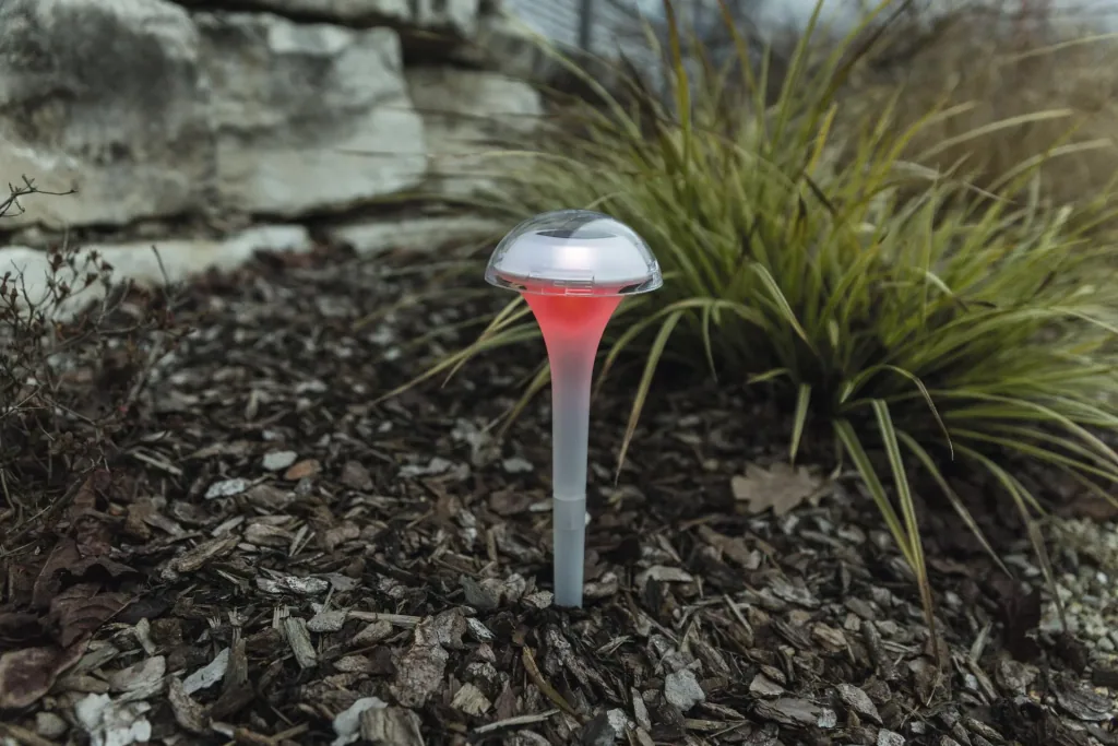 LED solar light Kalea, set of 2