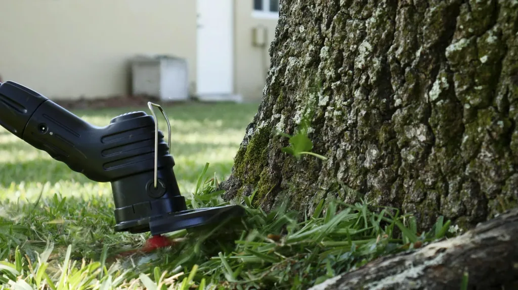 Akku-Rasentrimmer „Bionic Trimmer“