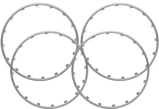 Rim Ringz rim ring, 19 inches, color silver