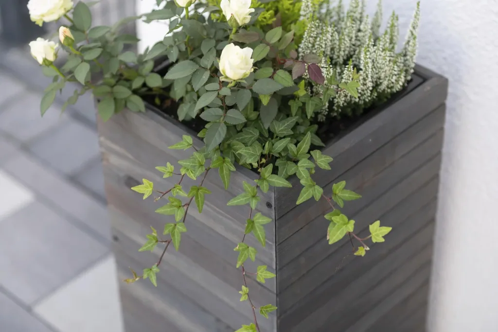 Plant pot Mono
