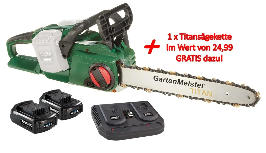 Set cordless chainsaw + 2 x 2 Ah batteries + double fast charger + chain