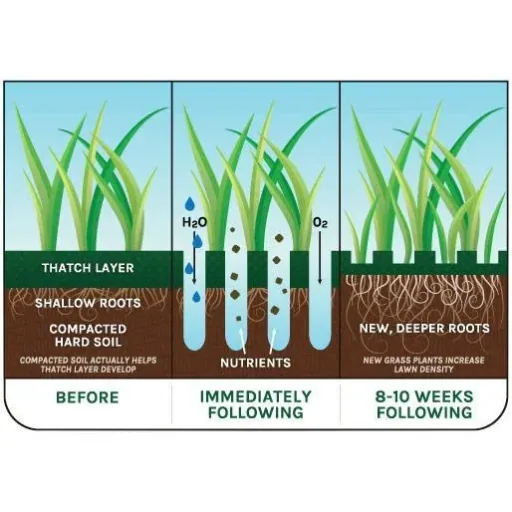 NL Sandals for lawn aeration - scarifying shoes