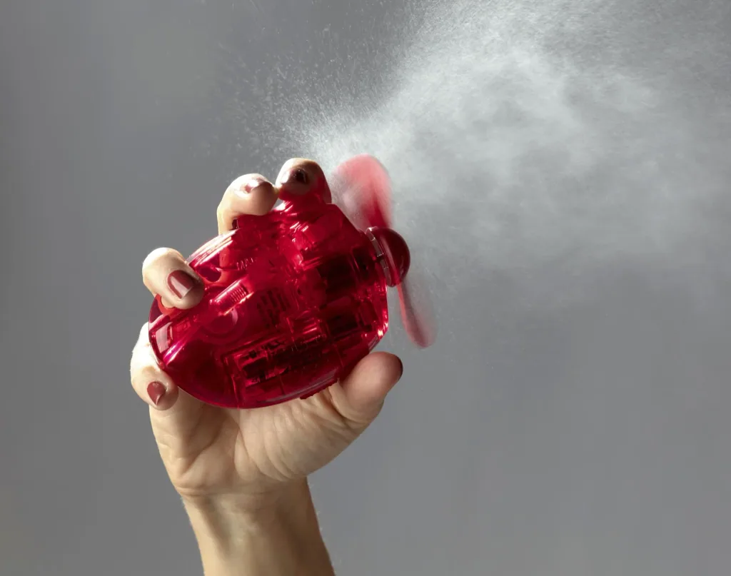 Fan with spray function