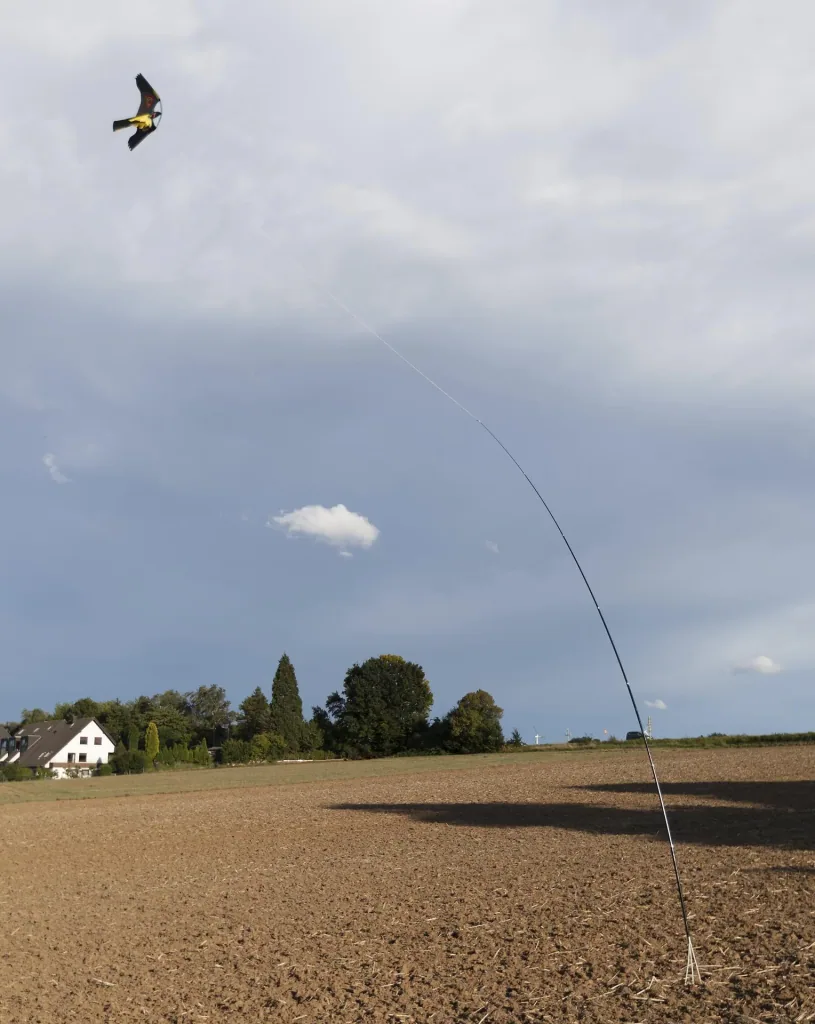 Bird repellent dragon with 9 m rod