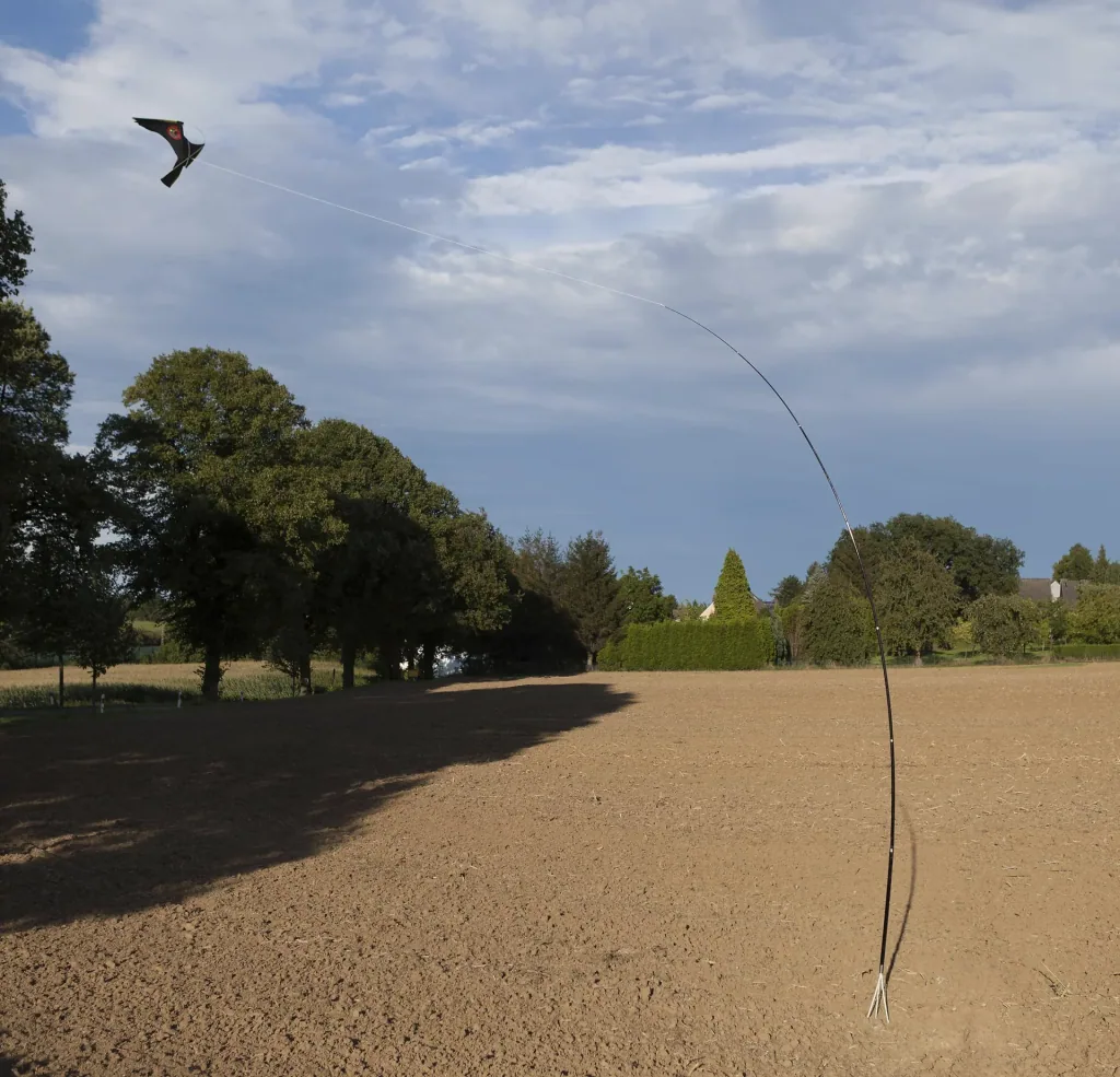 Bird repellent dragon with 9 m rod