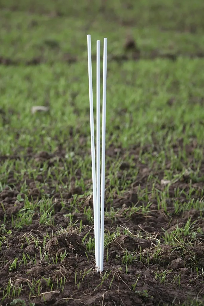 Bird repellent dragon with 9 m rod