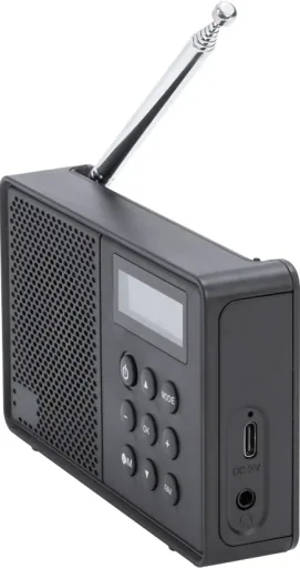 Portable DAB radio