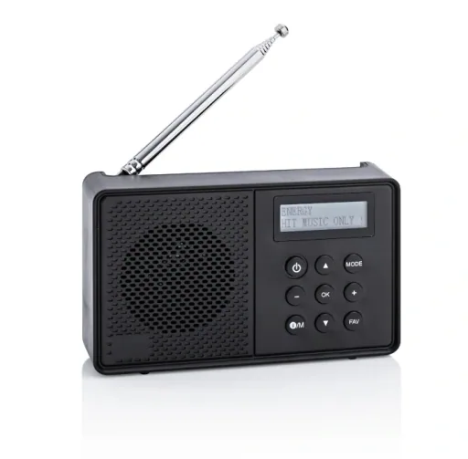 Portable DAB radio
