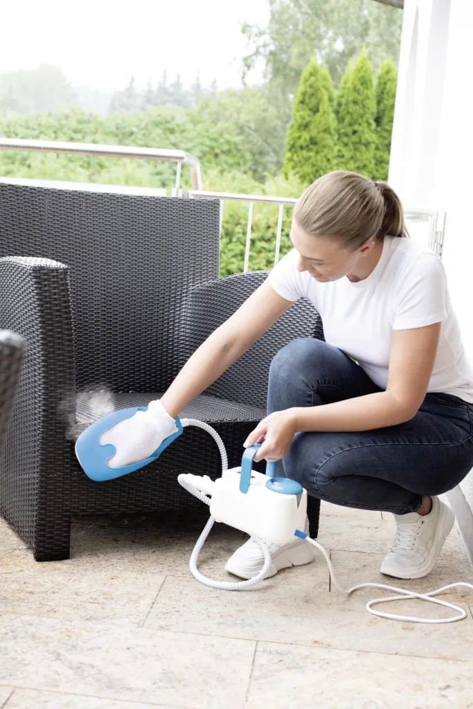 Handheld steam cleaner SteamTouch