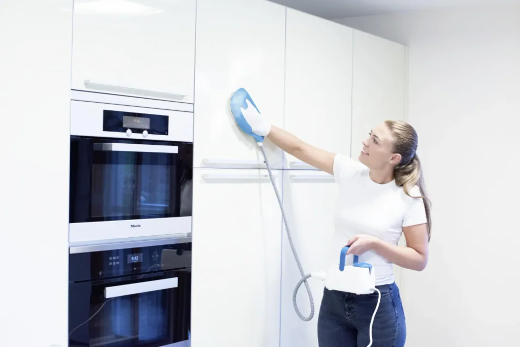 Handheld steam cleaner SteamTouch
