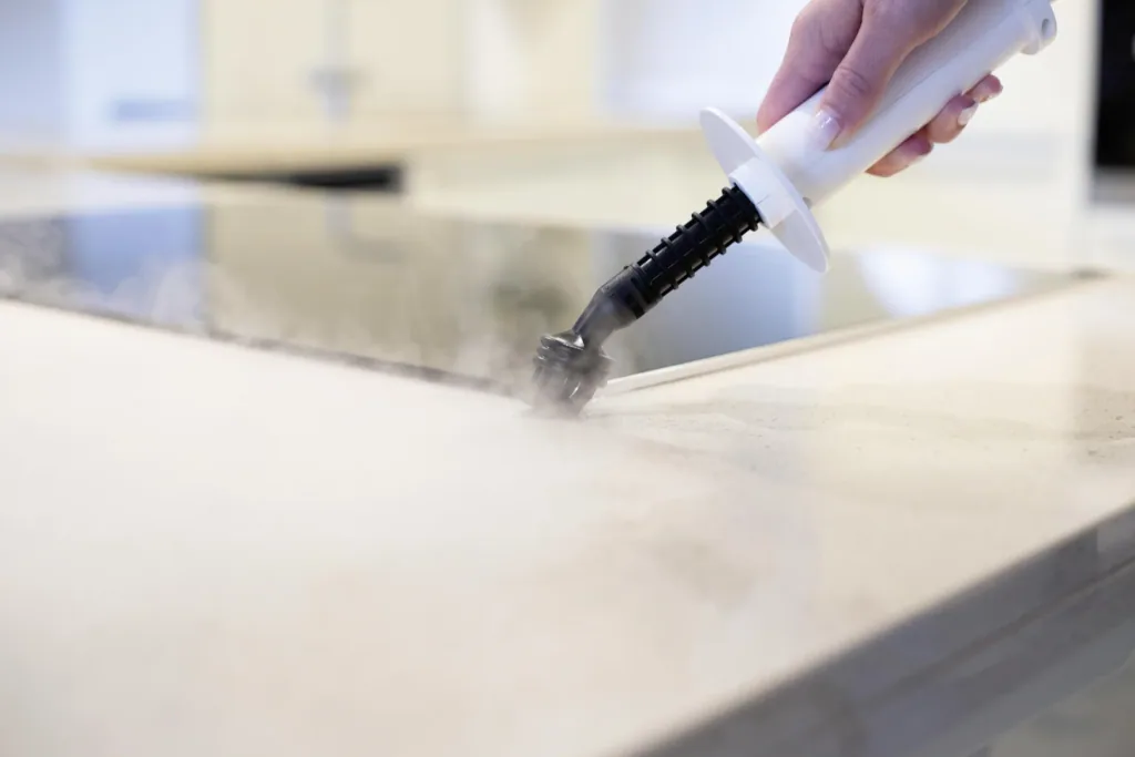 Handheld steam cleaner SteamTouch