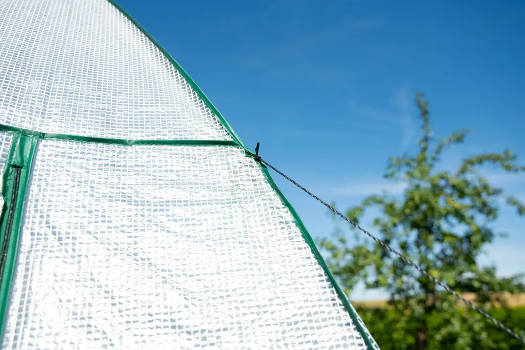 Polytunnel greenhouse winter tent avocado