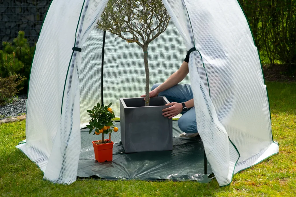 Polytunnel winter tent mint