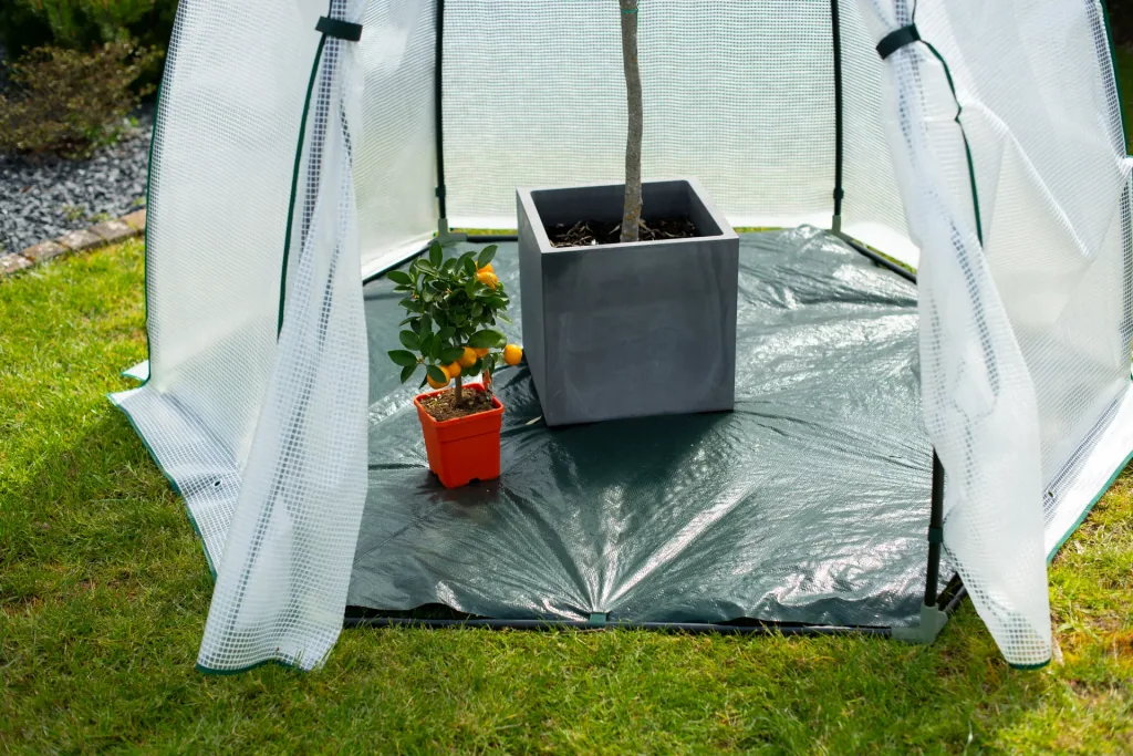 Polytunnel winter tent mint