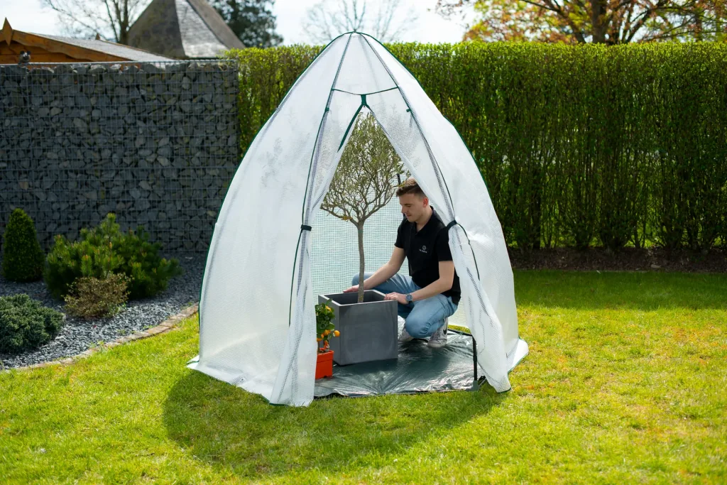 Polytunnel winter tent mint