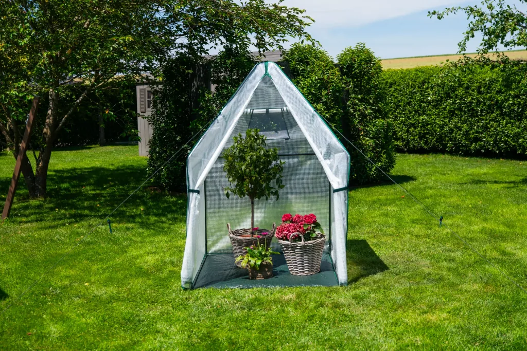 Polytunnel winter tent with floor Chili
