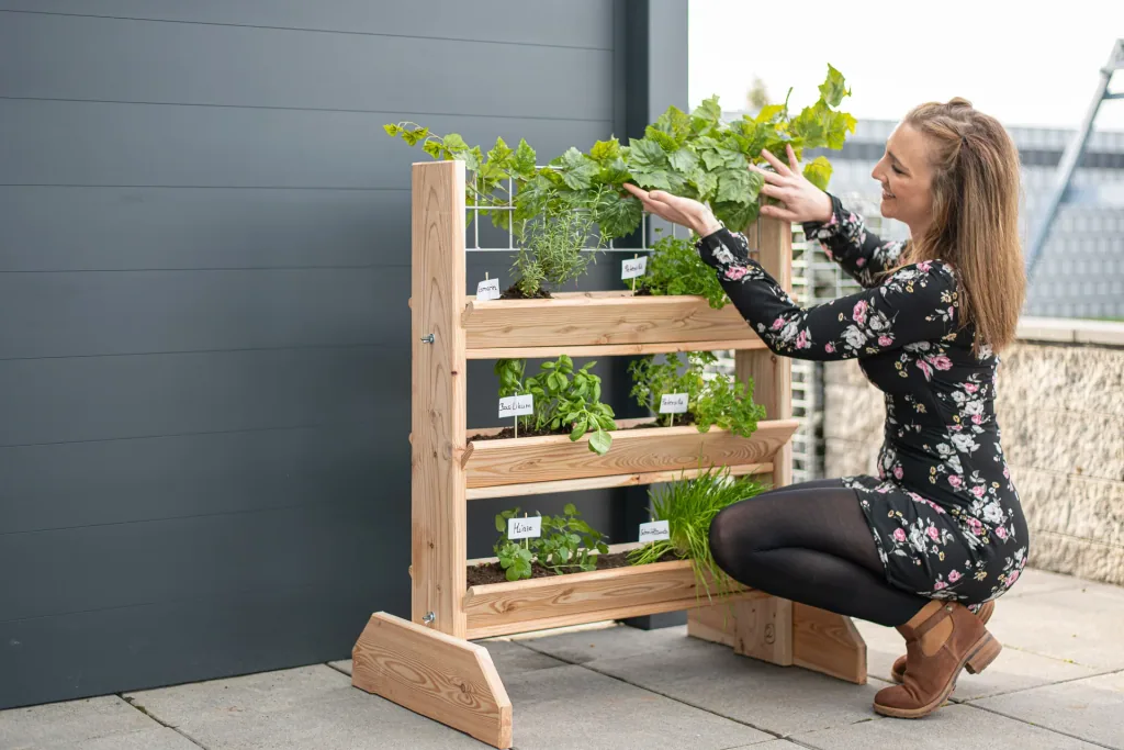 Herb rack L