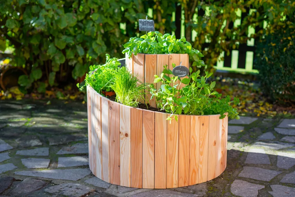 Herb spiral Luise