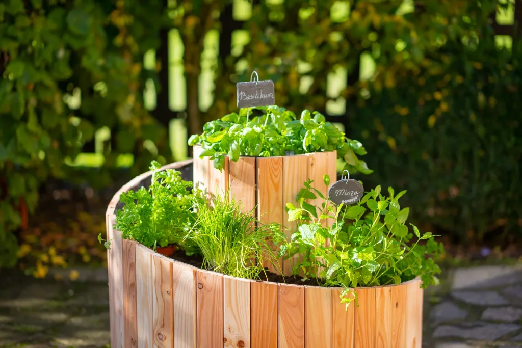 Herb spiral Luise