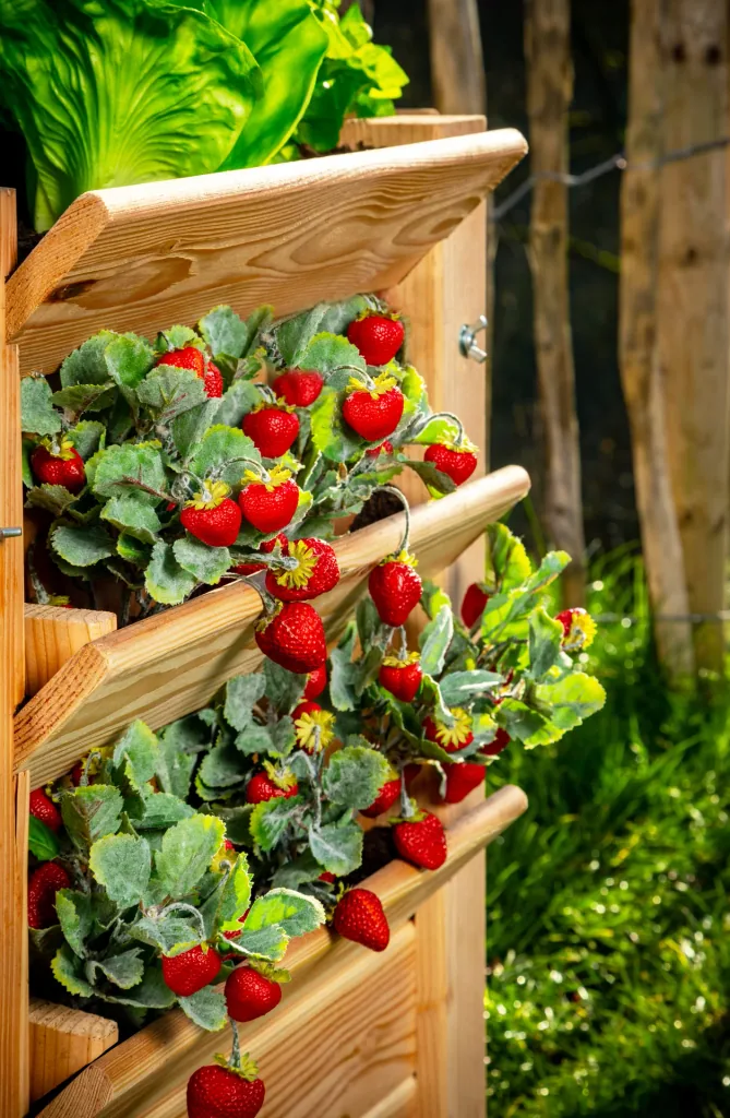 Premium Raised Bed XL