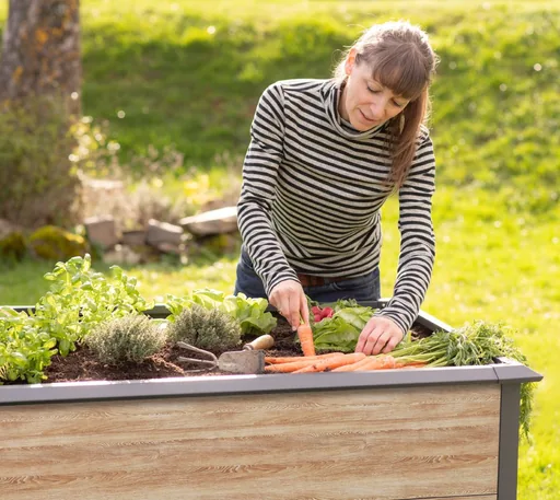 Westmann Raised Bed Primus-Multi L Metal natural