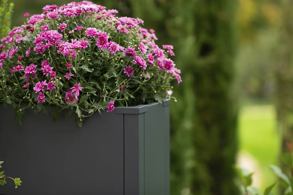 Westmann Planter Box Talus L Metal anthracite