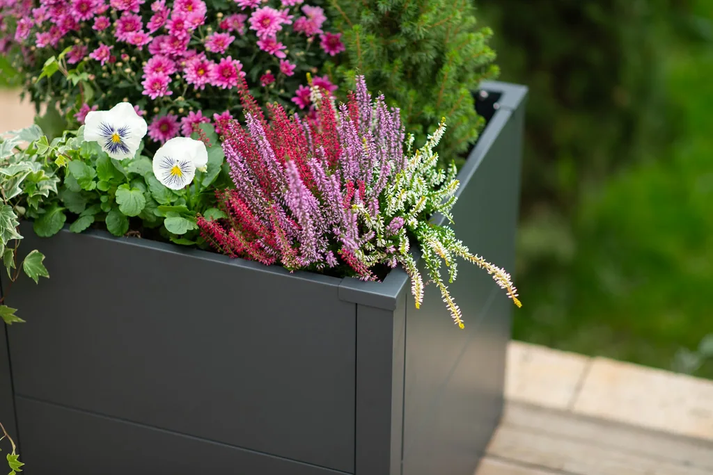 Westmann Planter Box Talus S Metal anthracite