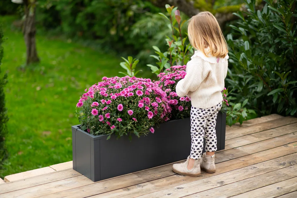 Westmann Planter Box Talus M Metal anthracite