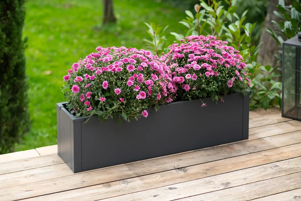 Westmann Planter Box Talus M Metal anthracite