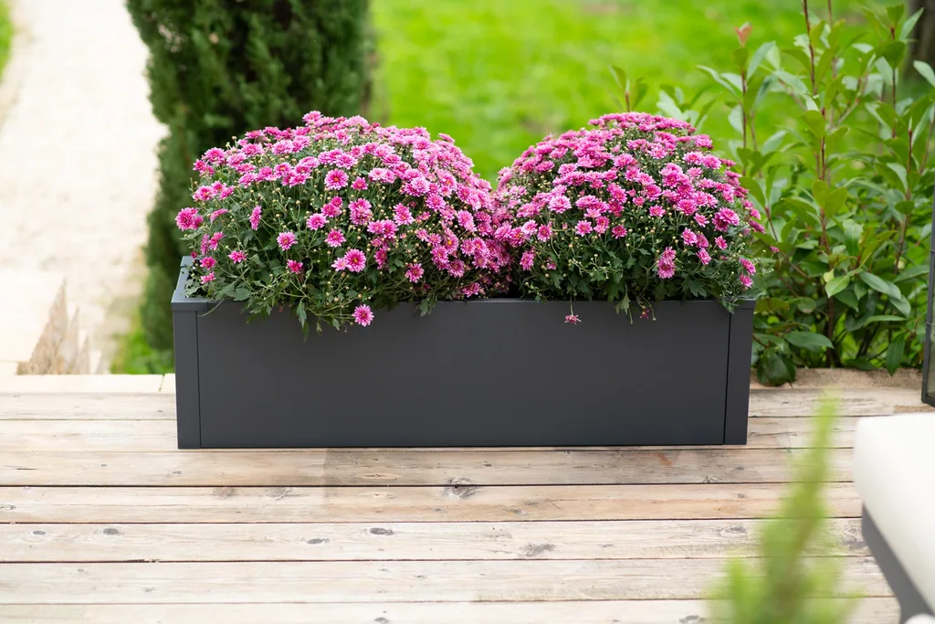 Westmann Planter Box Talus M Metal anthracite