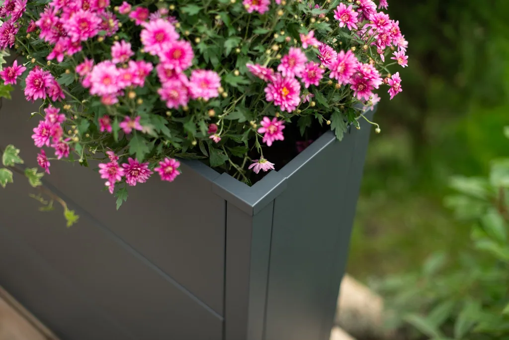 Westmann Planter Box Talus XL Metal anthracite