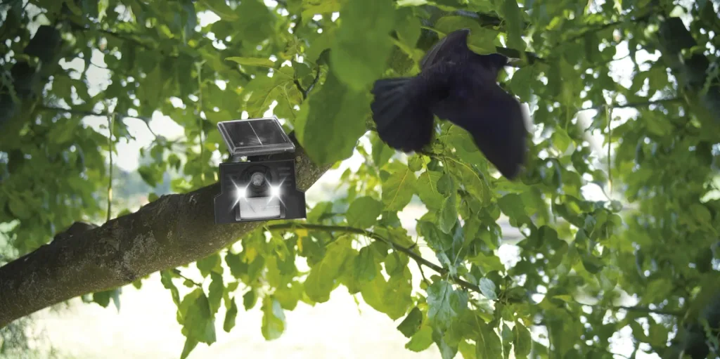 Solar bird repellent