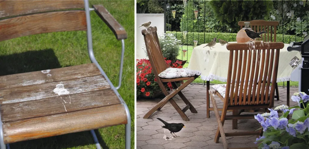 Solar bird repellent