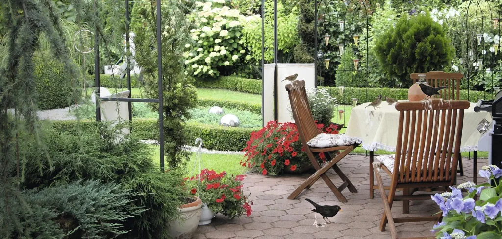 Solar bird repellent