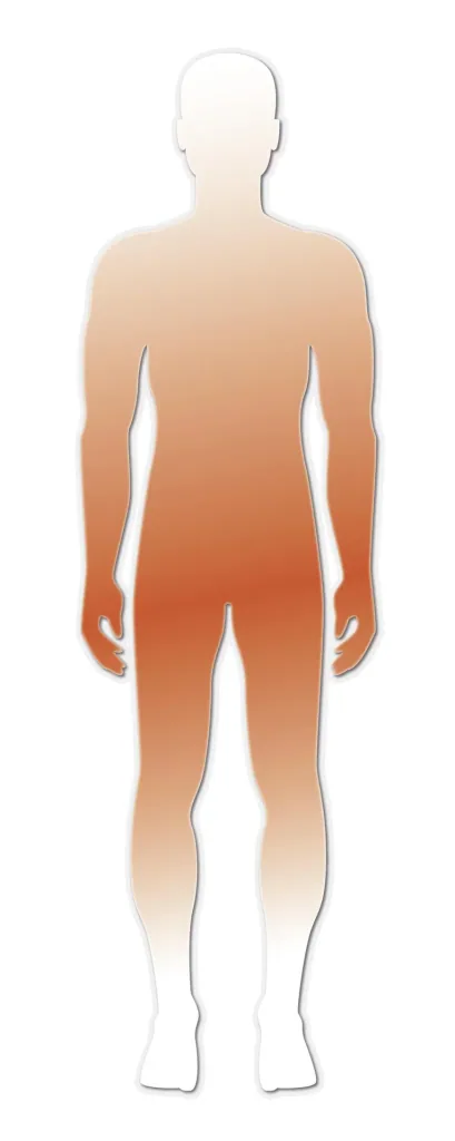 RXB Male Capsules, 60 Capsules
