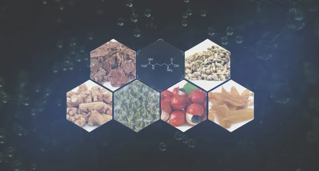 RXB Male Capsules, 60 Capsules