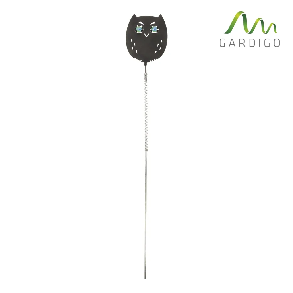 Bird-free Eulanda set of 4